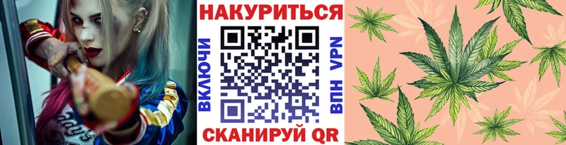 kraken сайт  Полярные Зори  Бошки Шишки семена 